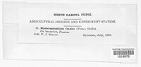 Image Associated With the Occurence